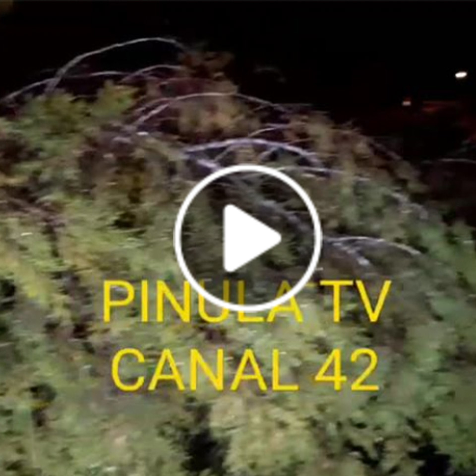San José Pinula