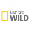 100_-nat-geo-wild_1492908226_png_8a2d0dc7711f97af0a538a113f816da5